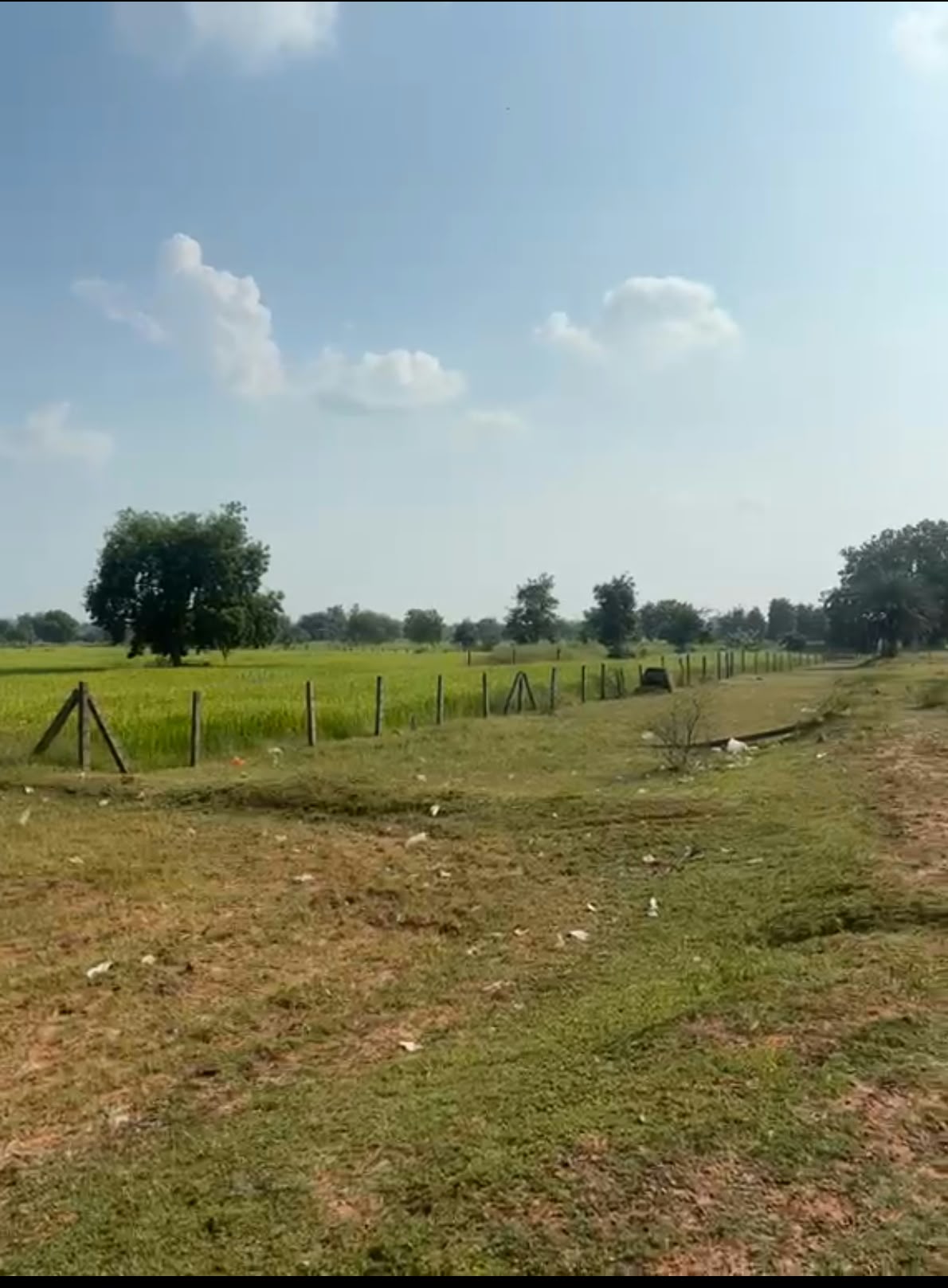 Agricultural land in Thnod, Abhanpur, Raipur, Chhattisgarh, photo 2