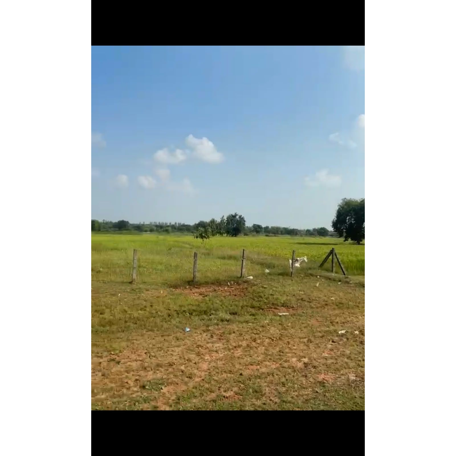 Agricultural land in Thnod, Abhanpur, Raipur, Chhattisgarh
