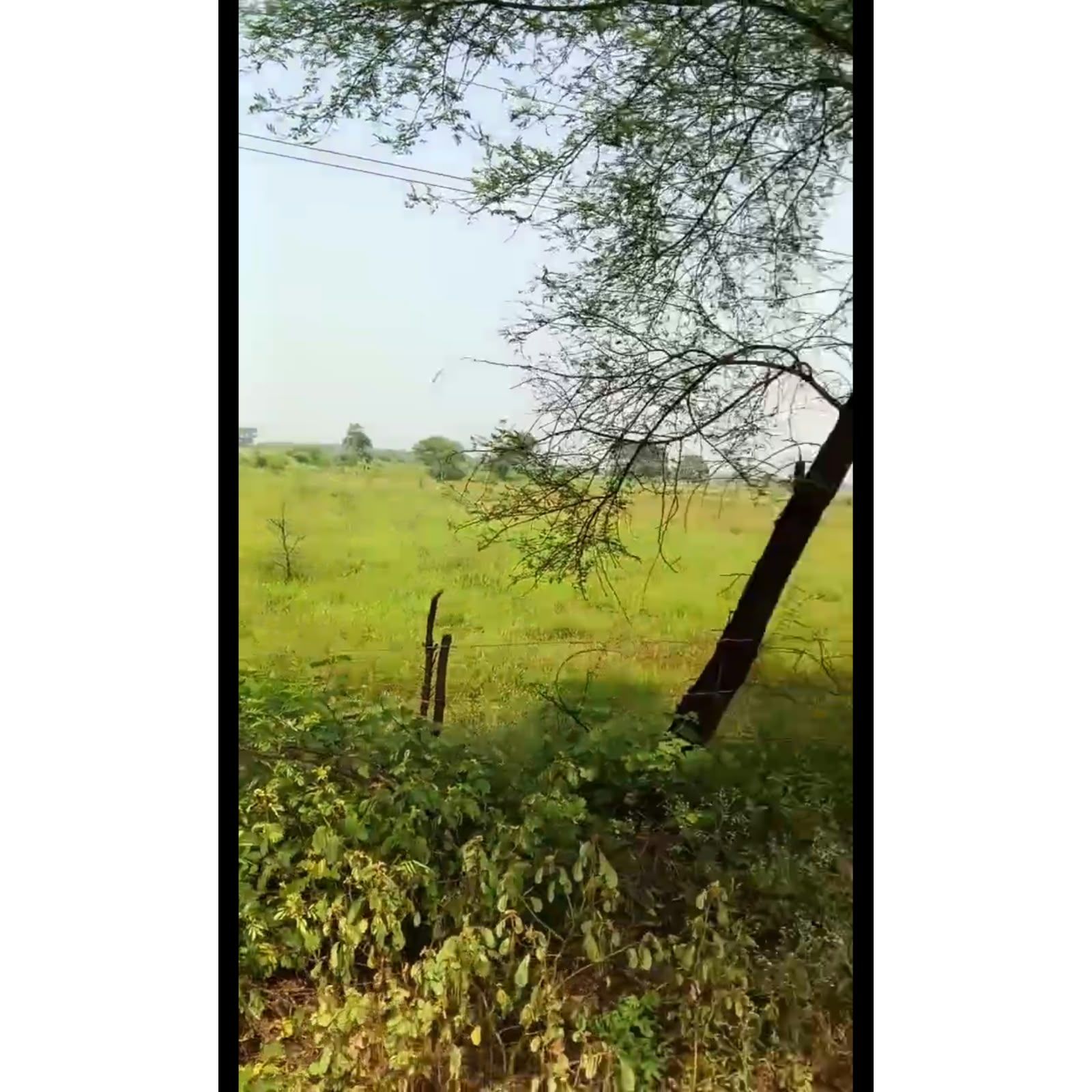 Agricultural land in Mandhar, Saragao, Raipur, Chhattisgarh, photo 2