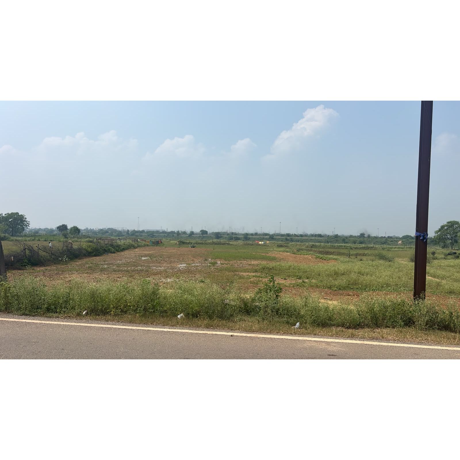 Agricultural land in Mandhar, Saragao, Raipur, Chhattisgarh