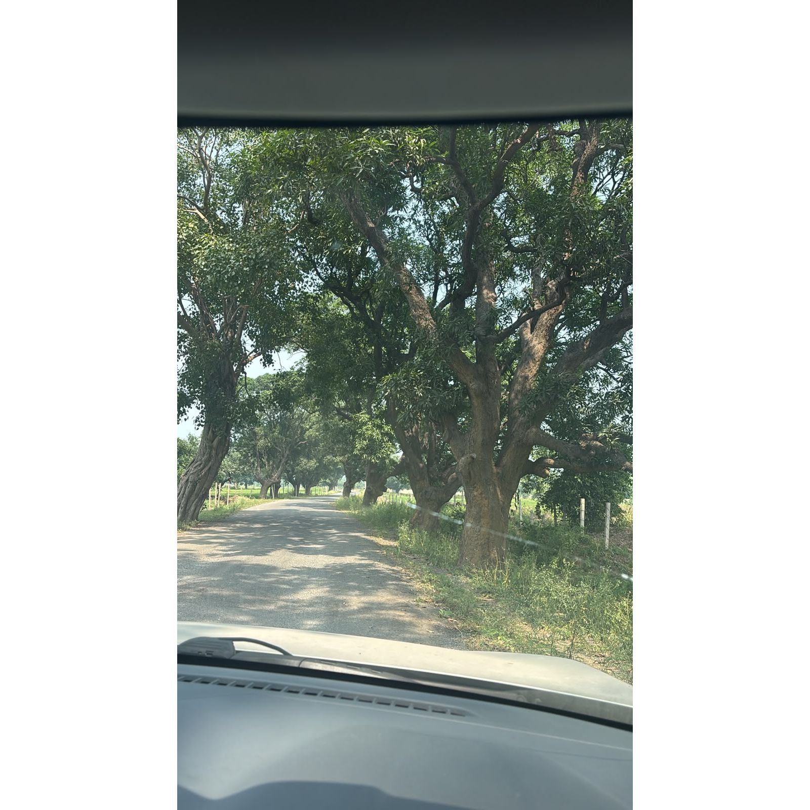 Commercial land in Mandhar, Saragao, Raipur, Chhattisgarh