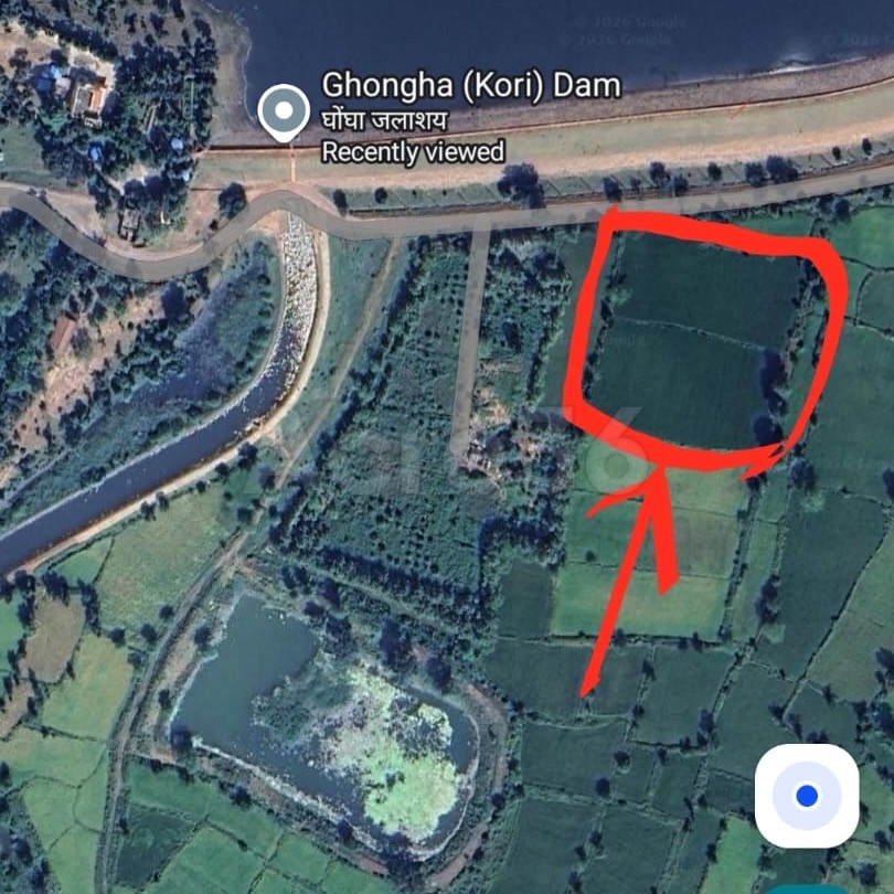 Agricultural land in Ghongha dam, Bilaspur, Chhattisgarh